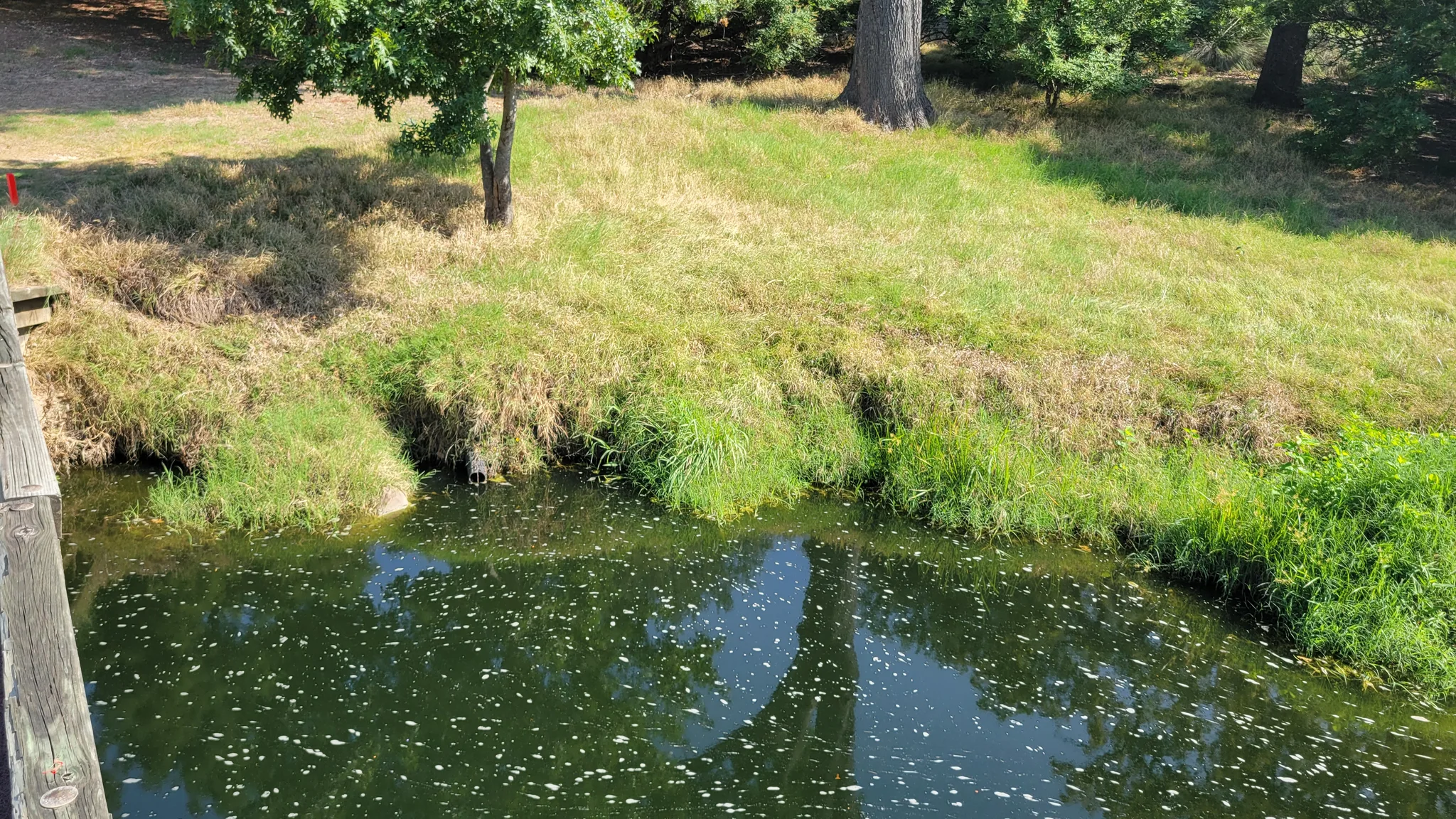 Before restoration - severe slope erosion and damage